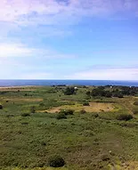 IMG_0961.JPG